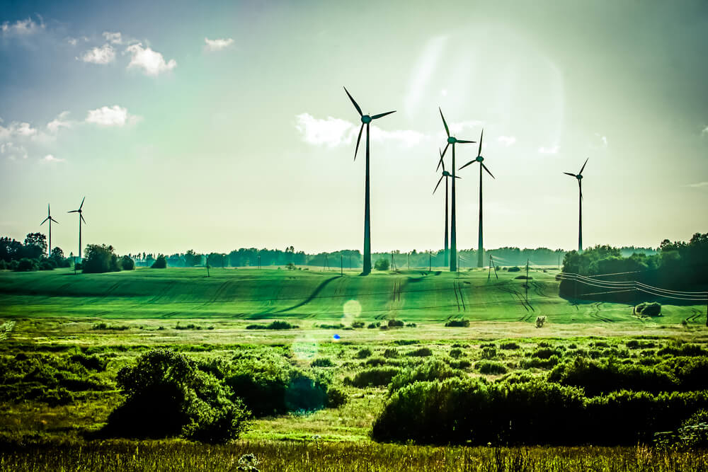 Wind farm on green pasture